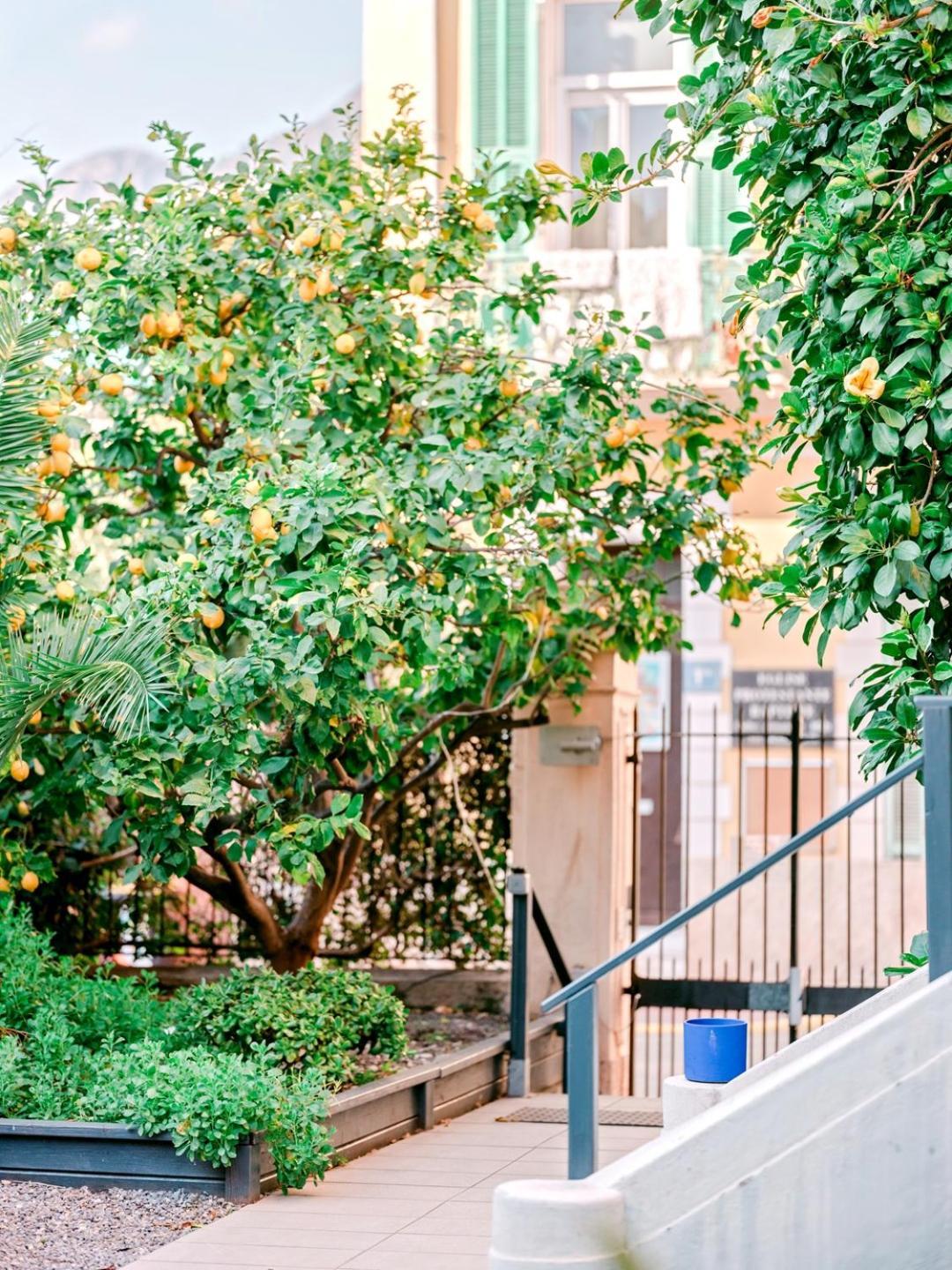 מנטון Hotel Lemon מראה חיצוני תמונה